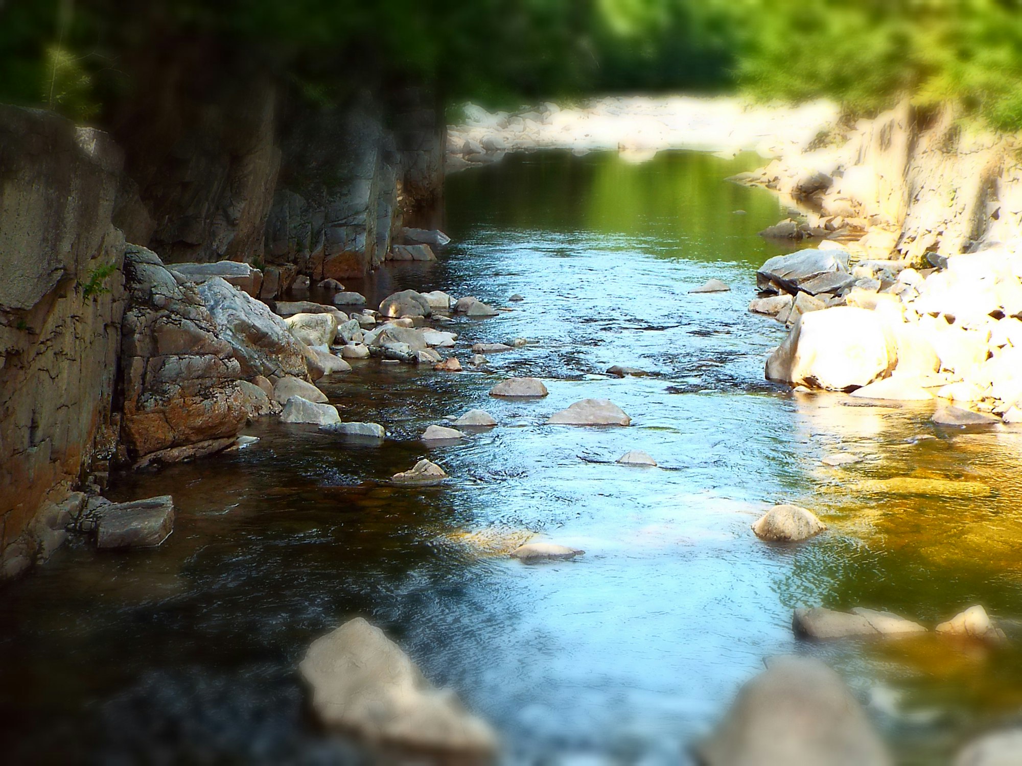 Babbling brook in forest